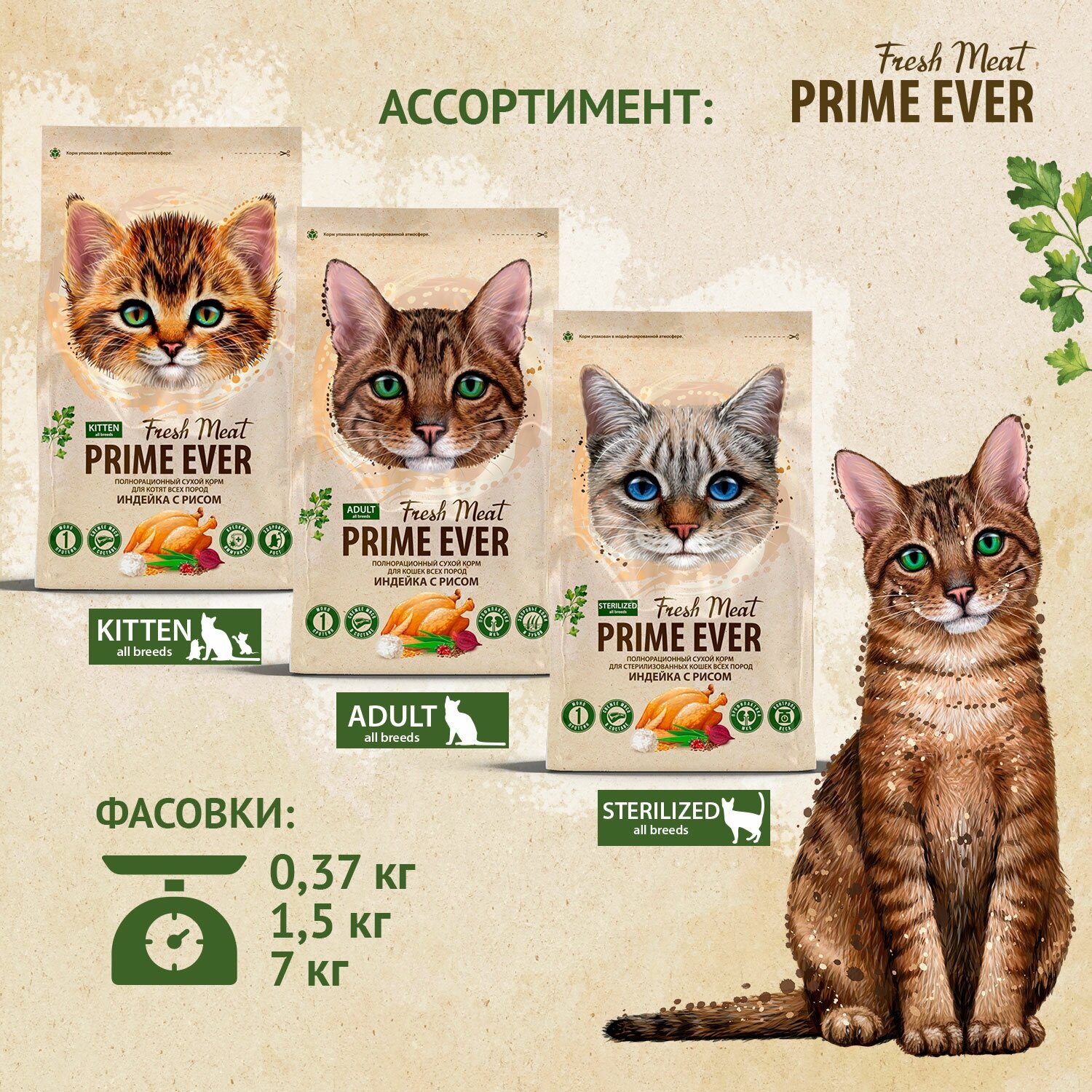 Сухой корм для котят всех пород индейка с рисом Prime Ever Fresh Meat Kitten, 370 г - фотография № 9