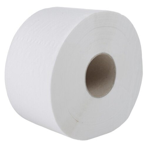Купить Бумага туалетная HAYAT 1-сл 450 м в рулоне Н95хD200 мм FOCUS JUMBO ECO белая, белый