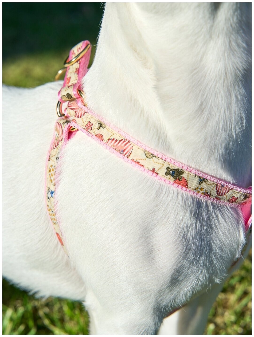 Шлейка для собак Japan Premium Pet / шлейка буржуа для собак мелких пород, цвет розовый, размер SS - фотография № 5