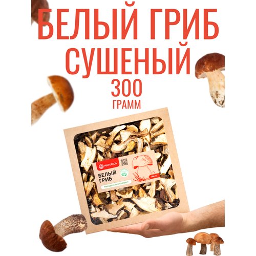 NATURICA Сушеные белые грибы полезное питание эко продукты Алтай 300г