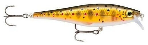 Воблер плавающий Rapala BX Minnow BXM10-TR (0,9м-1,5м, 10см 12гр)