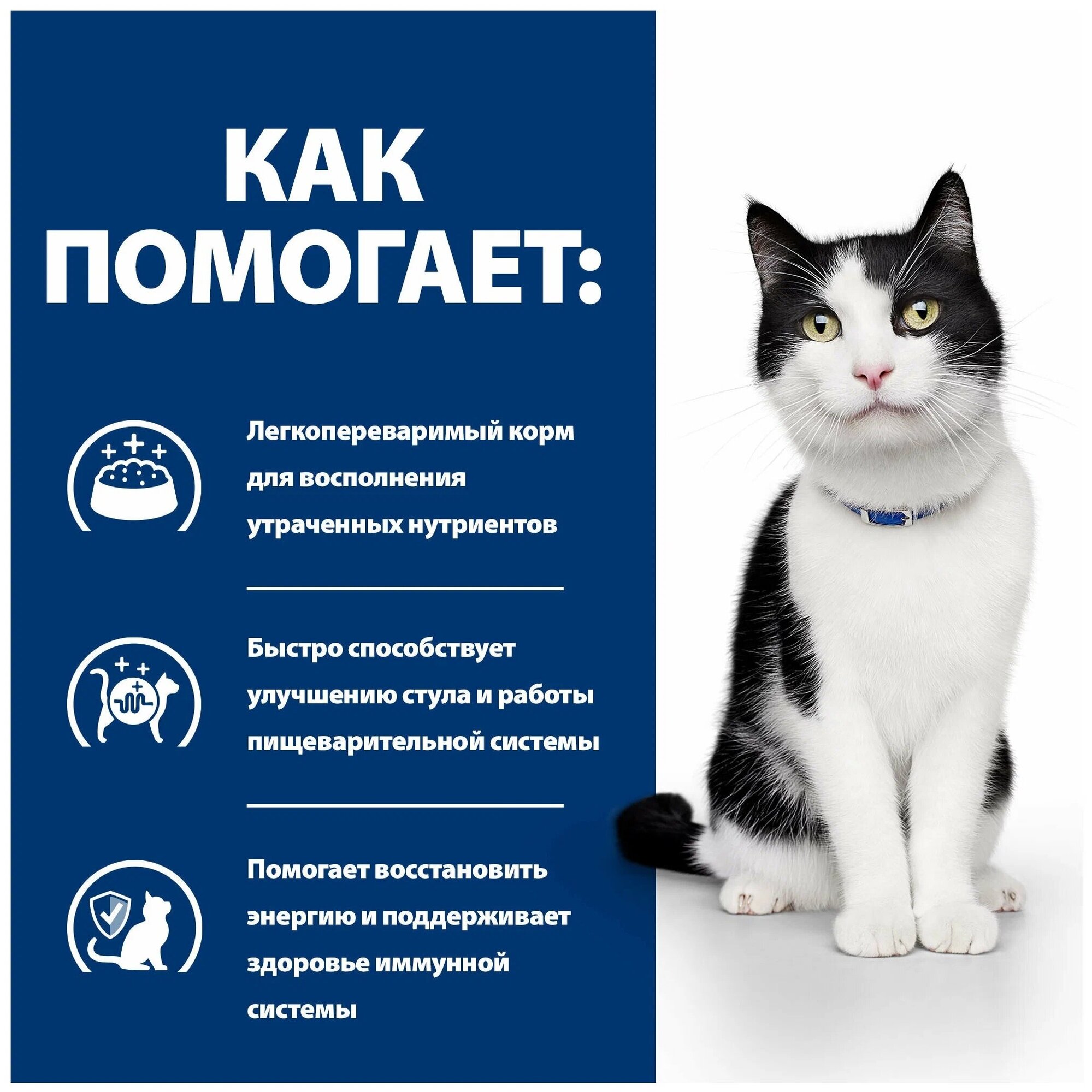 Hill's PD Feline I/D для кошек лечение ЖКТ 1,5кг - фотография № 2