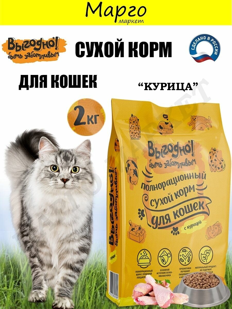 Сухой корм для взрослых кошек полнорационный Выгодно (курица), 2 кг - фотография № 2