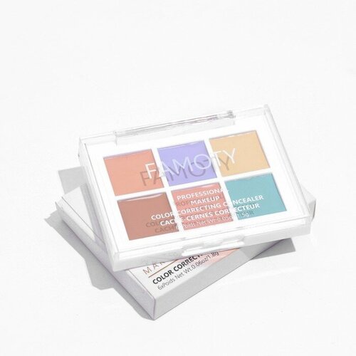 Палетка консилеров Hidden Treasure 6 оттенков 286₽