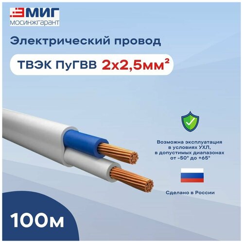 Пугвв 2х2,5 ГОСТ твэк (100 м)