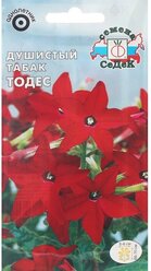 Семена цветов цветок Душистый табак Тодес (декоративный, рубиново-красный) . Евро, 0,1 г