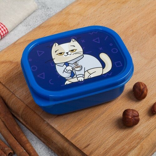 Ланч-бокс Кот 150 мл 450₽