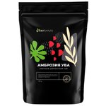 Цейлонский чай Амброзия Ува (отборный высокогорный листовой черный от GreenFormula чай для похудения), 100 гр - изображение