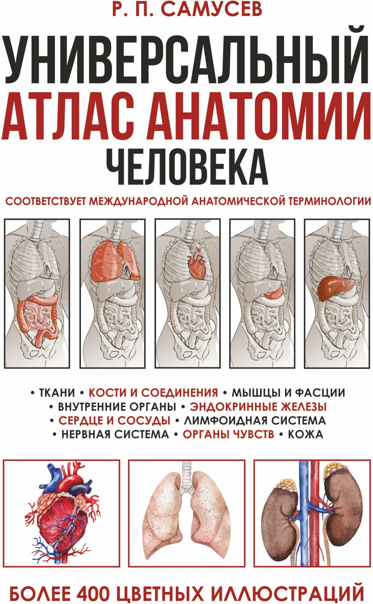 Универсальный атлас анатомии человека Учебное пособие для студентов медецинских учебных заведений Самусев РП 12+