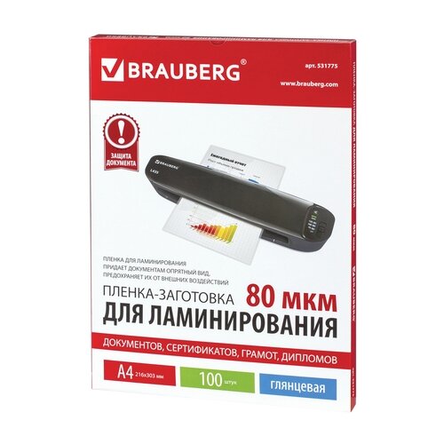     BRAUBERG -, 216303 , 80 , 531775 100 