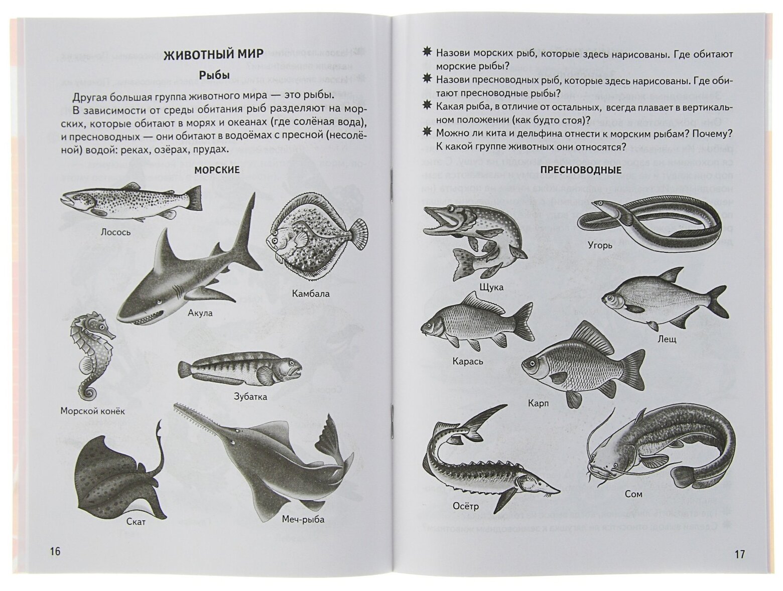 Знакомимся с окружающим миром (для детей 5-6 лет) - фото №3
