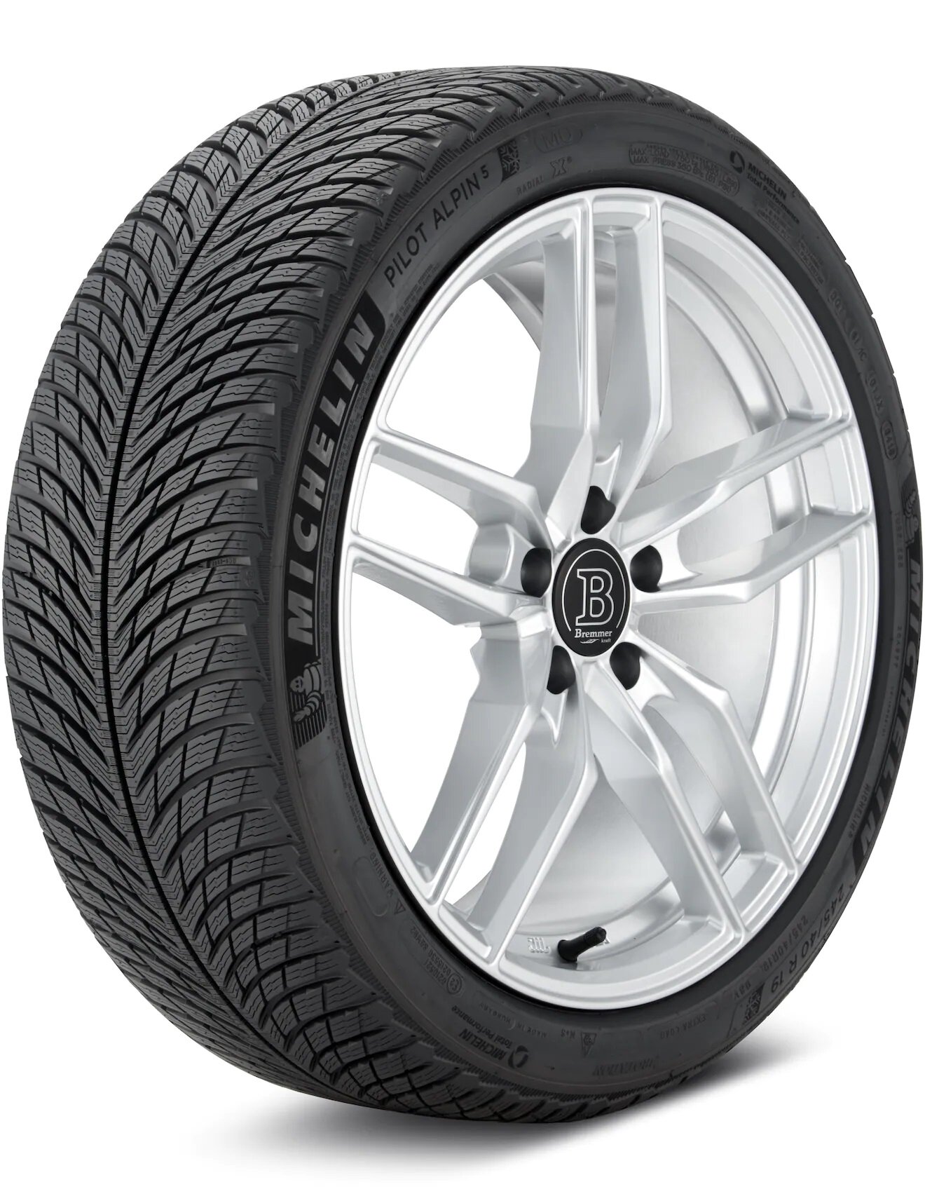 Шина Michelin Pilot Alpin 5 255/40 R19 V 100 - фото №6