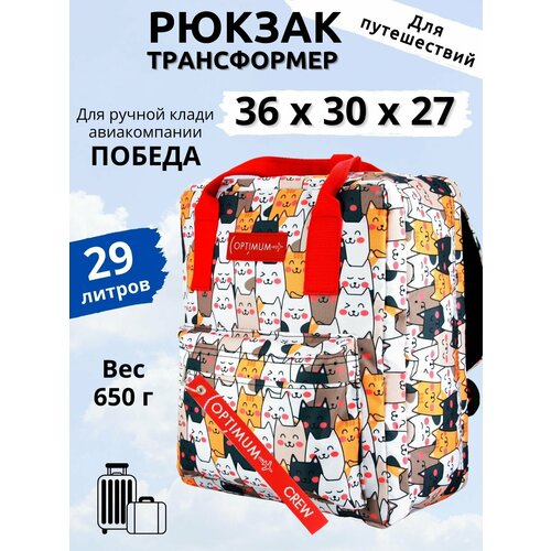 Рюкзак сумка дорожная ручная кладь 36х30х27 для Победы, котики