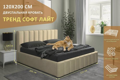 Изображение товара Двуспальная кровать Тренд Софт Лайт 120х200 см, с ортопедическим подъемным механизмом, без ножек, цвет бежевый