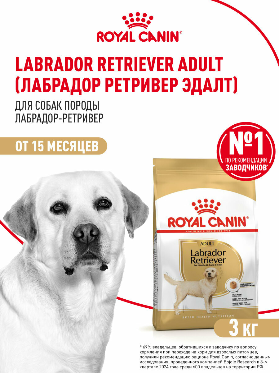 Сухой корм для собак Royal Canin Adult для породы лабрадор ретривер, 3 кг — фото 1