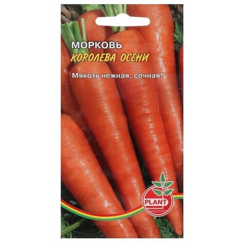 Семена Морковь Королева осени, 800 шт.