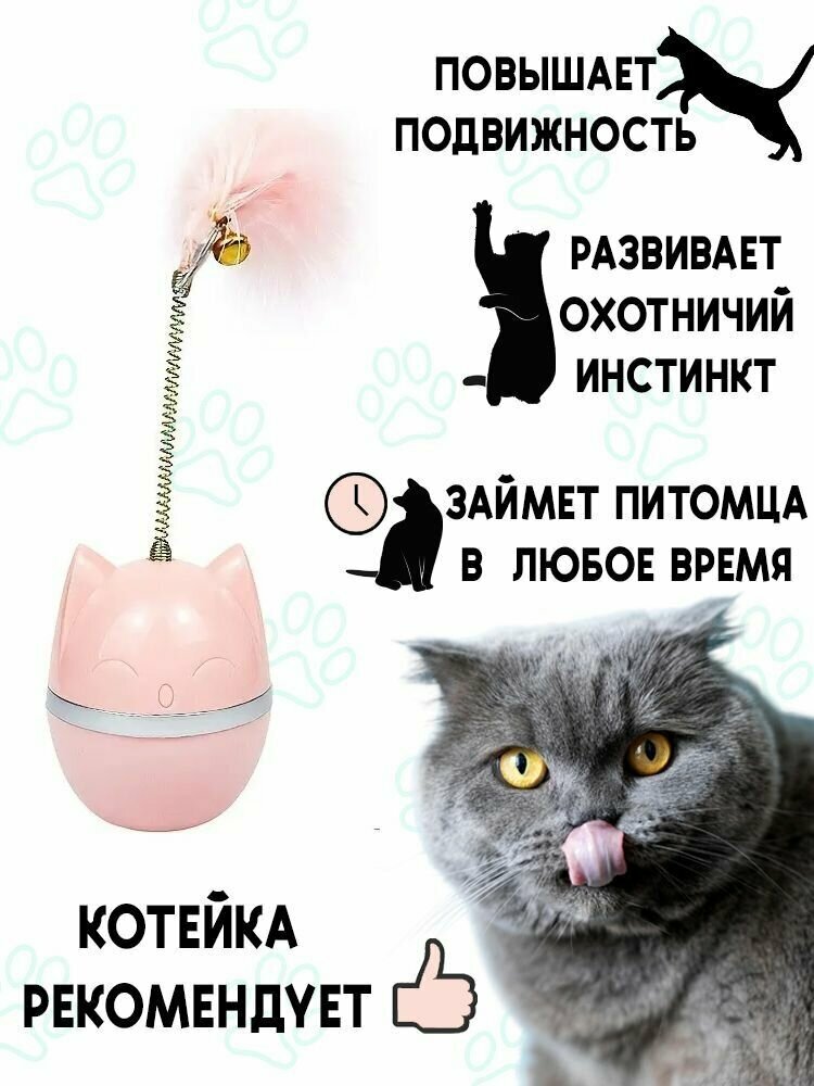 Интерактивная игрушка для кошек Нeваляшкa / дразнилка для кошек - фотография № 2
