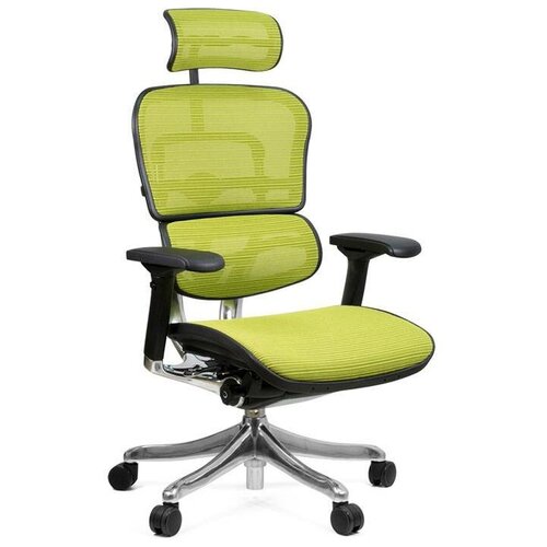 Компьютерное кресло Comfort Seating Ergohuman Plus для руководителя, обивка: сетка