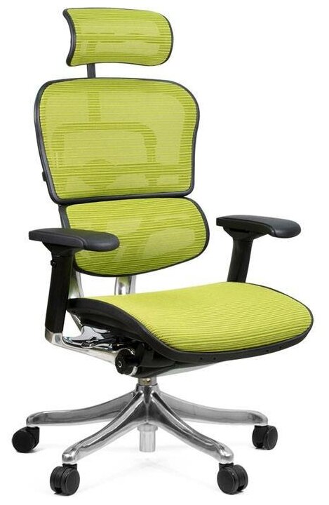 Компьютерное кресло Comfort Seating Ergohuman Plus для руководителя, обивка: текстиль, цвет: green