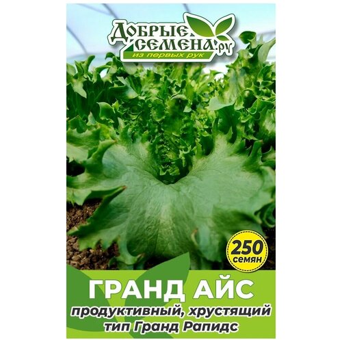 Семена салата Гранд Айс - 250 шт - Добрые Семена. ру салат гранд рапидс 420 семян