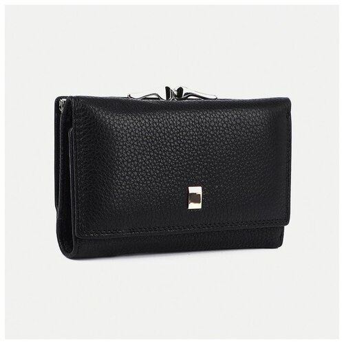 фото Кошелек , на магните, 5 отделений для банкнот, черный