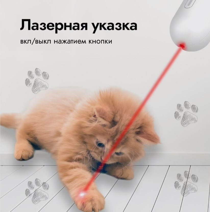 Игрушка дразнилка для кошек и лазерная указка - фотография № 3