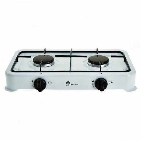 Плита Василиса ВА-6502 290800₽