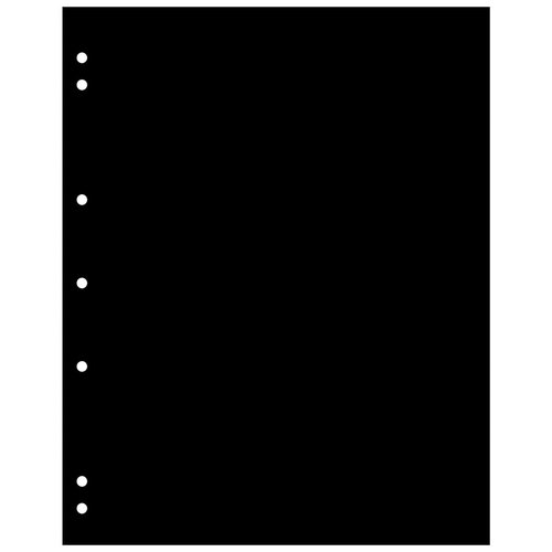 Лист Leuchtturm Numis 336293 / 357701 (10 шт.), черный лист leuchtturm numis nh 24 5шт прозрачный
