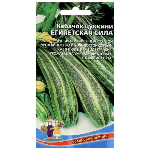 Кабачок-цуккини египетская сила, 2 пакета, Уральский Дачник, семена 10шт, холодостойкий