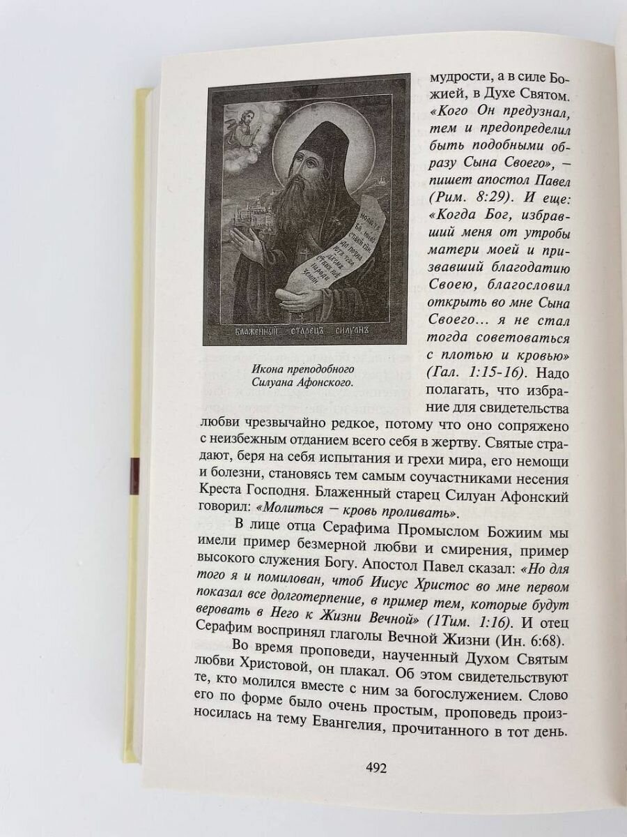 Неугасимый свет любви. Белгородский старец архимандрит Серафим (Тяпочкин) - фото №6