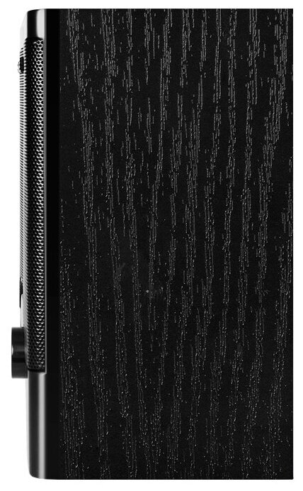АС SPS-603, черный (6 Вт, питание USB)