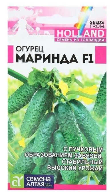 Семена Огурец "Маринда", Seminis, F1, Сем. Алт, ц/п, 5 шт