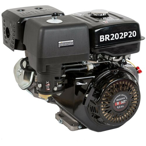 Двигатель бензиновый BR202P20 (6,5л. шпонка 20мм, длина вала 53мм)