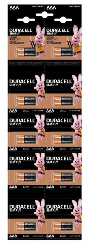 Батарейки Duracell LR03-2BL BASIC AAA(20шт в упак)Б0051816