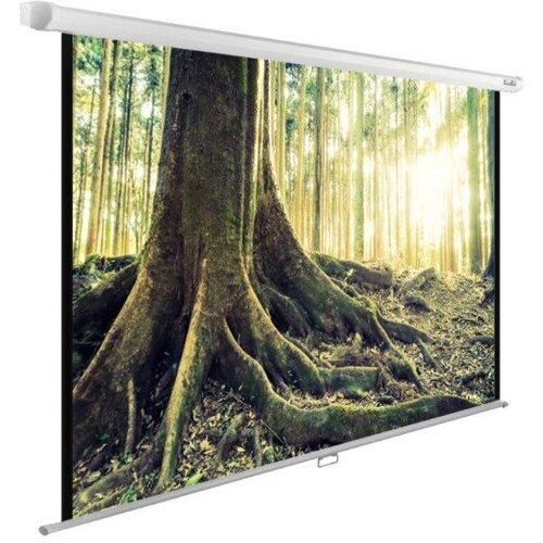 Экран для проектора Cactus WallExpert CS-PSWE-240x240-WT