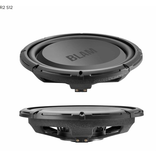 Сабвуферный динамик BLAM RS122 1999000₽