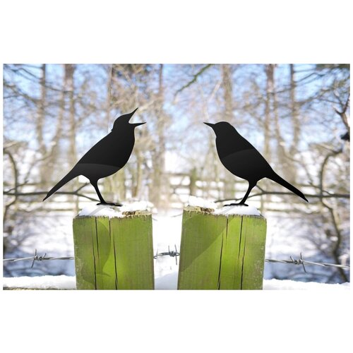 Декор из металла для сада, дачи Пение птиц, 2 птички по 15*15 см, черный