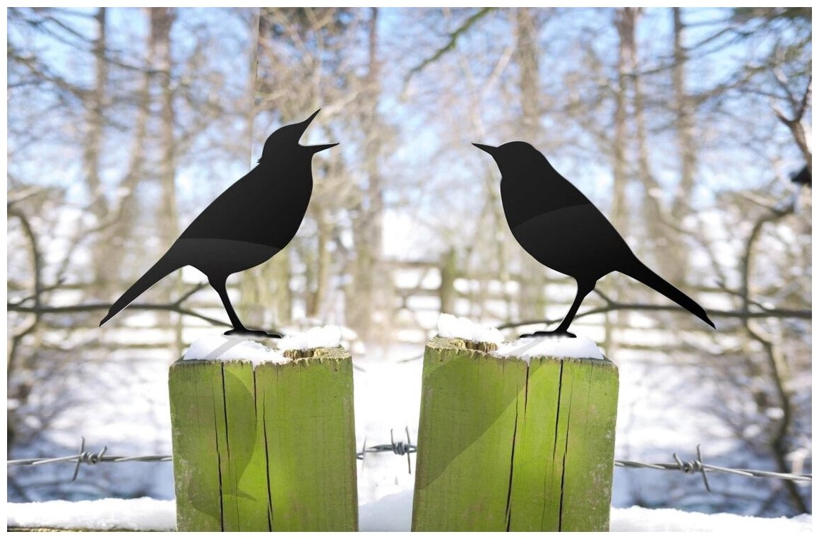 Декор из металла для сада дачи "Пение птиц" 2 птички по 15*15 см черный