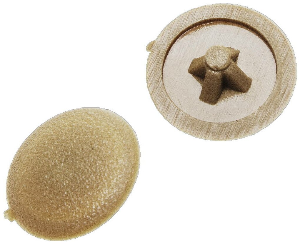 фото ЗУБР шлиц №2, цвет сосна, декоративная заглушка под шуруп, 40 шт (4-308156-4)