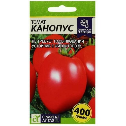 Семена Томат Канопус, 0,05 г 10 упаковок семена томат канопус среднеспелые 0 05 гр х 3 шт