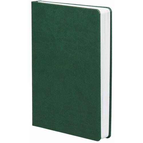 Ежедневник Basis, датированный, зеленый