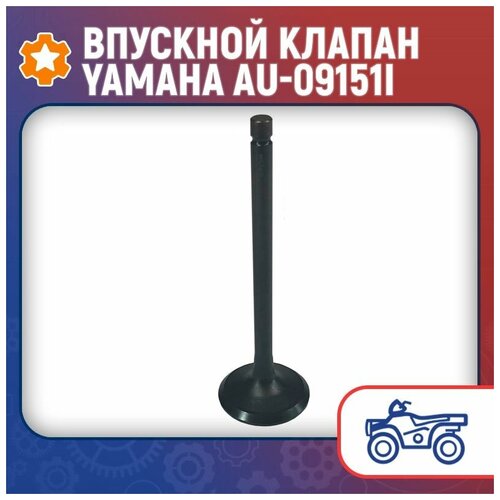 Впускной клапан Yamaha AU-09151I