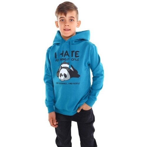 фото Толстовка radi, размер толстовка для мальчика начёс, цвет изумруд/панда, рост 134 см, бирюзовый, зеленый