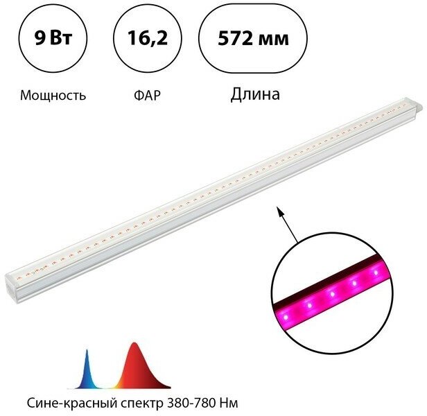 Фитосветильник светодиодный 9 Вт 572 мм сине-красный спектр фиолетовый «ЭРА»