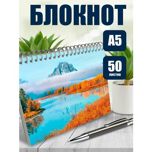 Тетрадь в клетку фото Виды природы