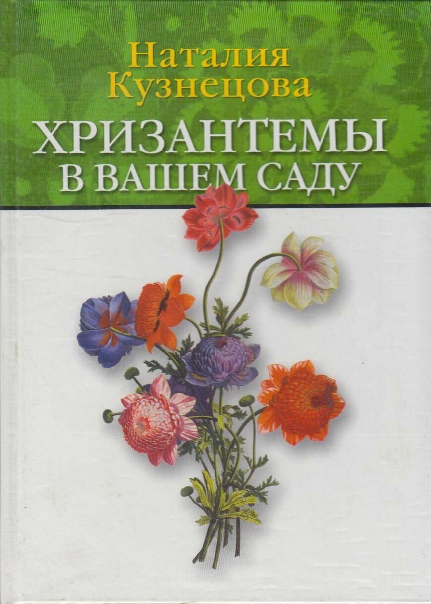 Хризантемы в вашем саду (Кузнецова Наталия Александровна) - фото №1