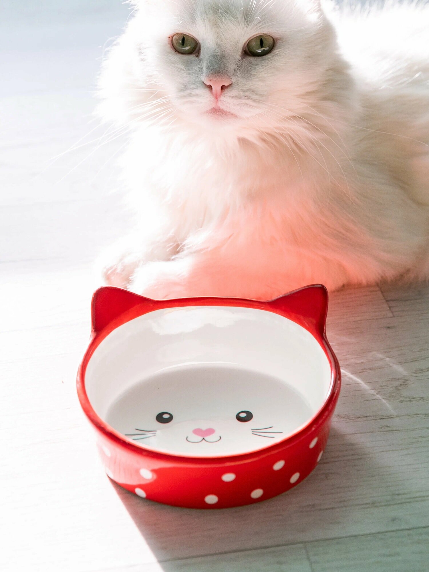 КерамикАрт миска для кошек мордочка кошки в горошек (250 мл., Черный) - фото №8