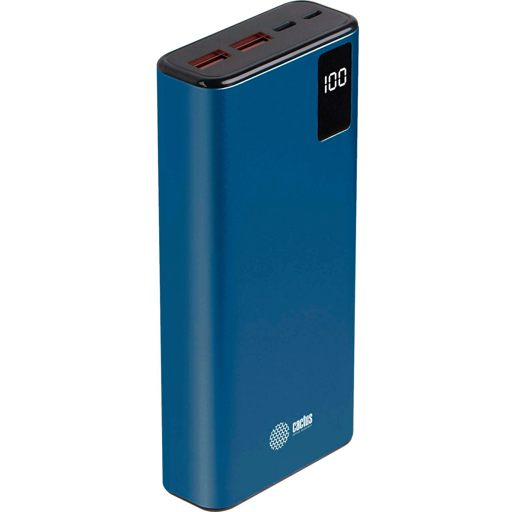 Мобильный аккумулятор CACTUS CS-PBFSYT-20000 голубой - фото №1