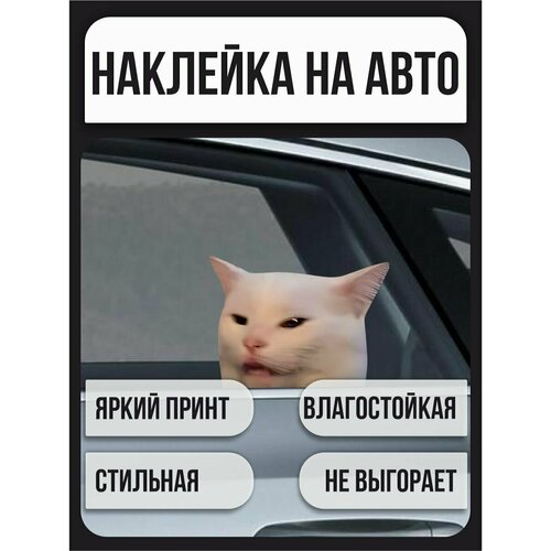 фото Наклейки на автомобиль, на авто, тюнинг авто - озадаченный мемный кот. мемы, юмор, прикол 17х12 см belousov