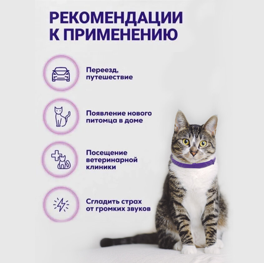 Ошейник для кошек SEISSO Calming Collar успокаивающий с феромонами, фиолетовый, 3 шт. - фотография № 3